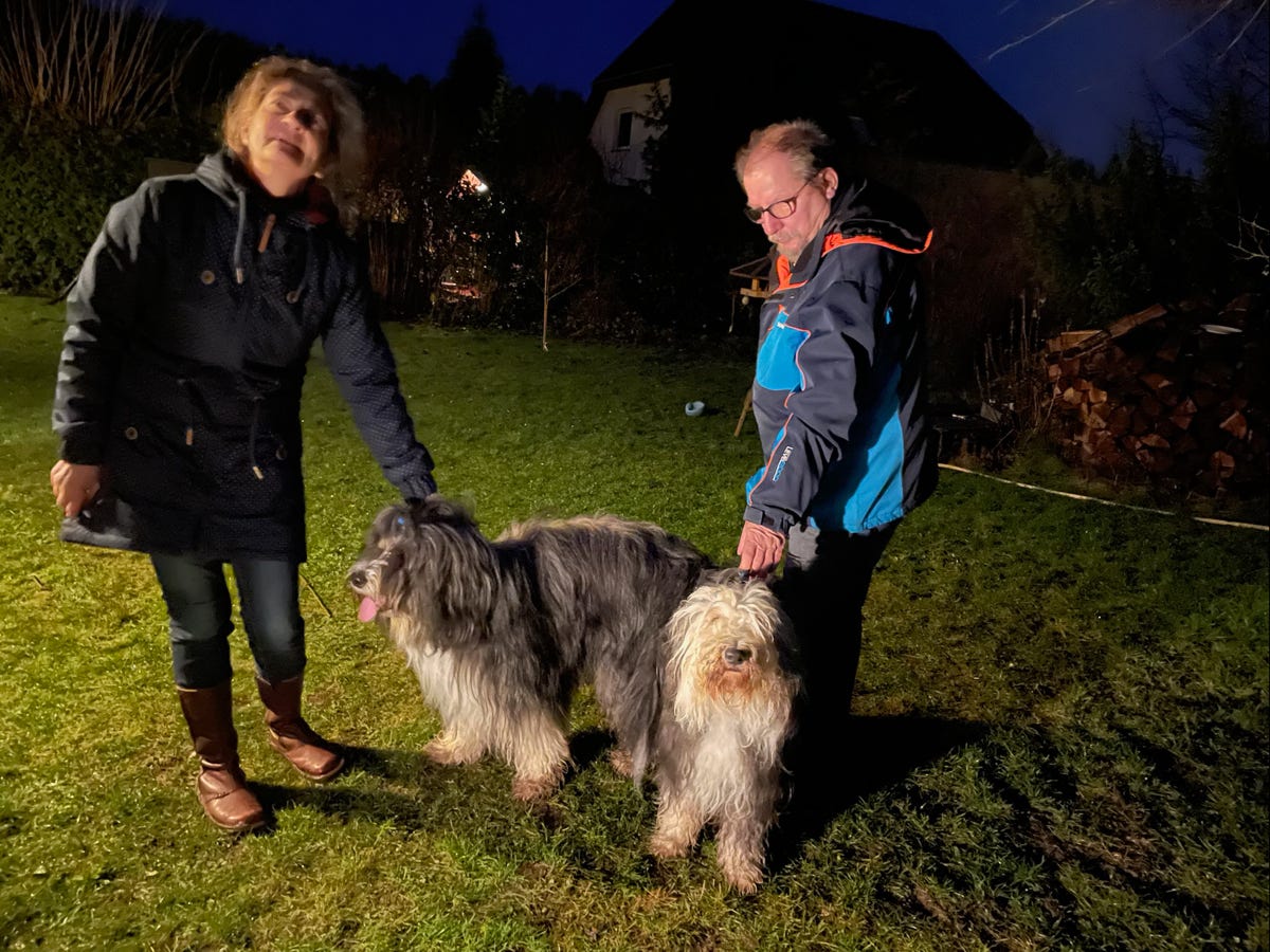 Deckrüde Bearded Collie Malte Therapie Hunde Hof Greifswald